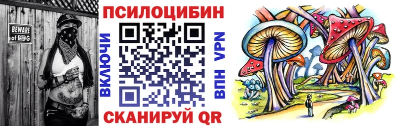 нарко площадка формула  Юрьев-Польский  ссылка на мегу маркетплейс  Псилоцибиновые грибы MAGIC MUSHROOMS  даркнет сайт 